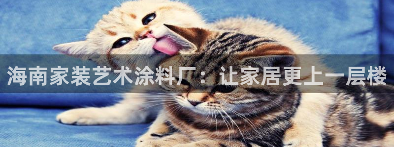 和记国际开户：海南家装艺术涂料厂：让家居更上一层楼