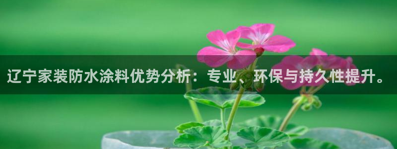 和记网页：辽宁家装防水涂料优势分析：专业、环保与持久性提升。