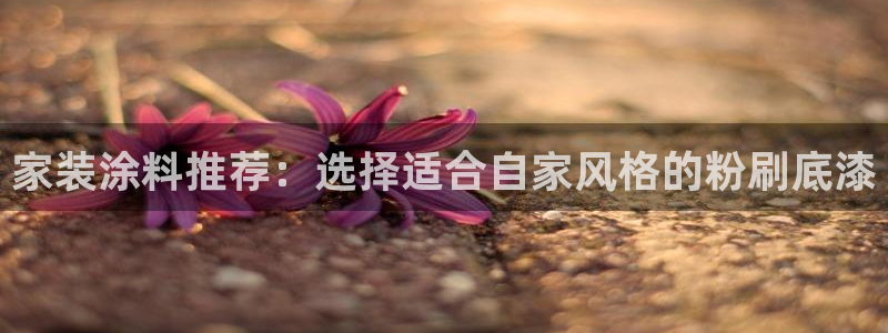 和记(福建)商贸有限公司：家装涂料推荐：选择适合自家风格的粉刷底漆