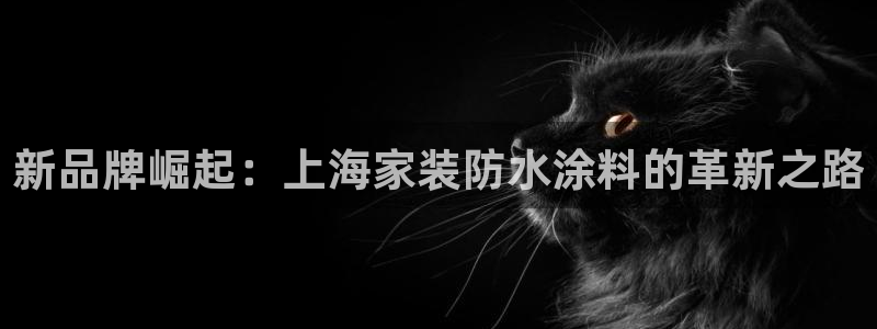 和记h8：新品牌崛起：上海家装防水涂料的革新之路