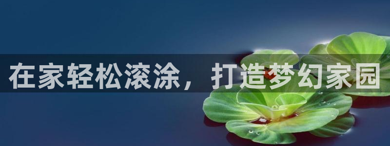 和记paging：在家轻松滚涂，打造梦幻家园