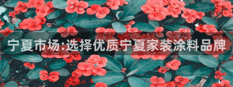 和记平台怎么样：宁夏市场:选择优质宁夏家装涂料品牌