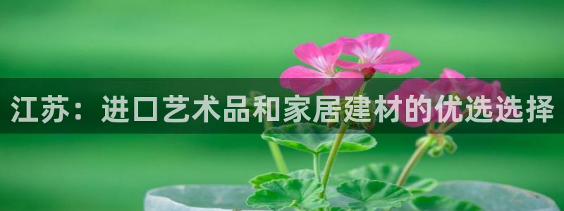 和记登陆：江苏：进口艺术品和家居建材的优选选择