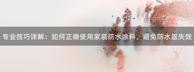 和记国际：专业技巧详解：如何正确使用家装防水涂料，避免防水层失效