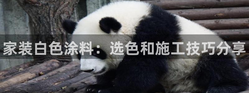 和记广告女主角