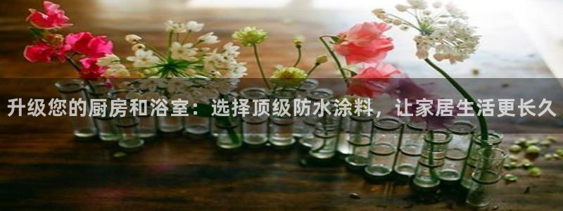和记AG旗舰：升级您的厨房和浴室：选择顶级防水涂料，让家居生活更长久