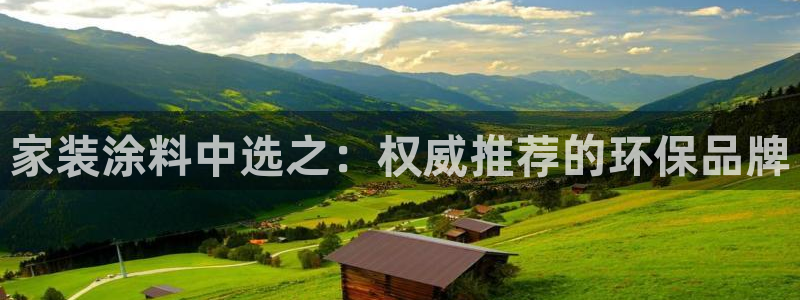 和记h8：家装涂料中选之：权威推荐的环保品牌