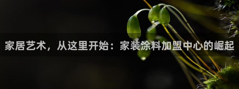 和记h88游戏：家居艺术，从这里开始：家装涂料加盟中心的崛起