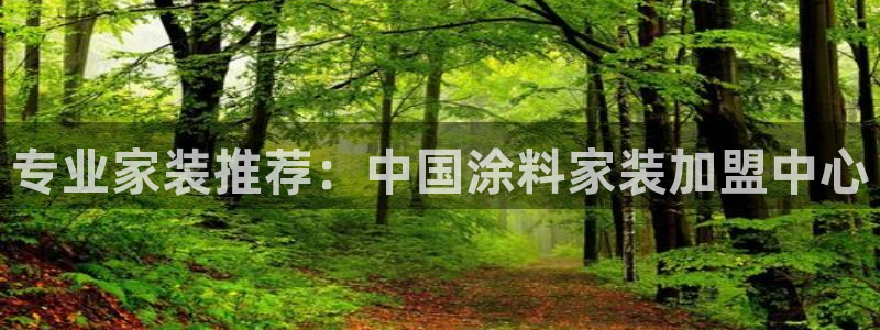 和记国际：专业家装推荐：中国涂料家装加盟中心