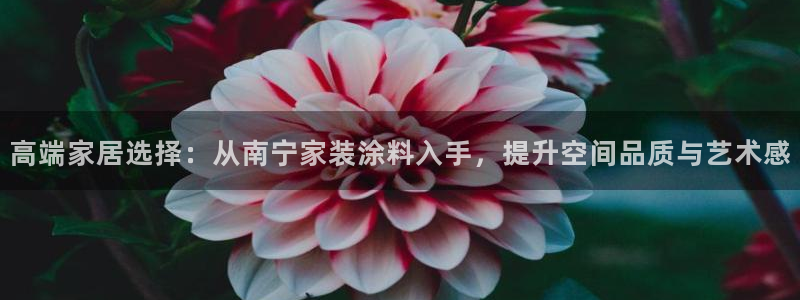 和记h88最新客户端下载