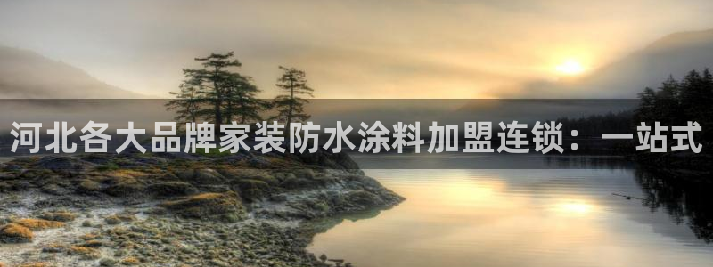 和记Ag：河北各大品牌家装防水涂料加盟连锁：一站式