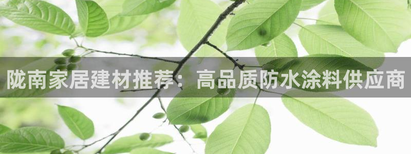 和记h188：陇南家居建材推荐：高品质防水涂料供应商
