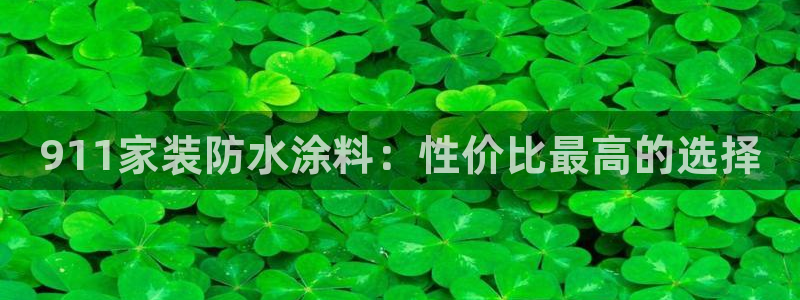 和记 首页：911家装防水涂料：性价比最高的选择