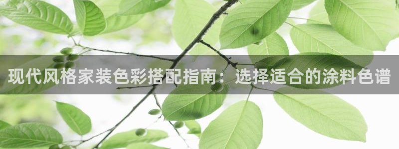 和记ag旗舰厅app：现代风格家装色彩搭配指南：选择适合的涂料色谱