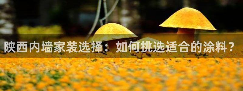 和记ag捕鱼害死多少人：陕西内墙家装选择：如何挑选适合的涂料