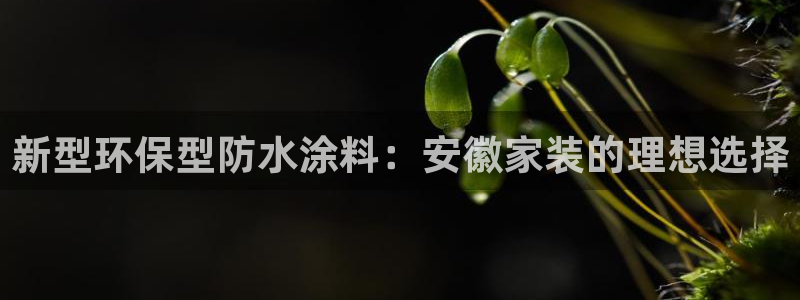 和记国际开户网站：新型环保型防水涂料：安徽家装的理想选择