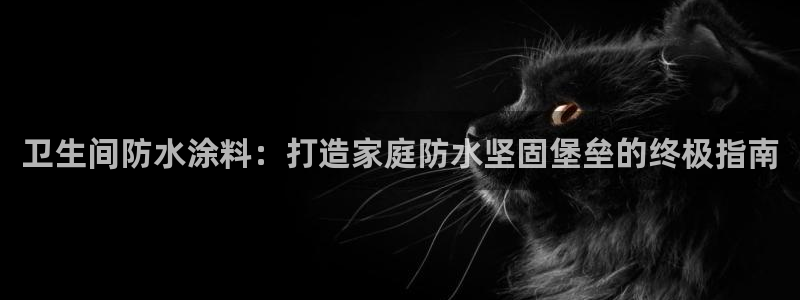 和记平台：卫生间防水涂料：打造家庭防水坚固堡垒的终极指南
