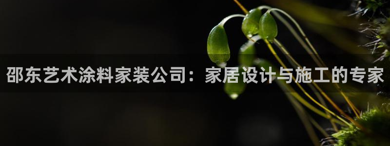 和记 首页：邵东艺术涂料家装公司：家居设计与施工的专家