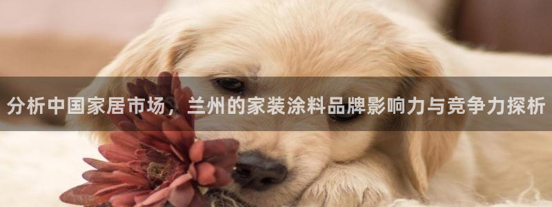 和记app官网