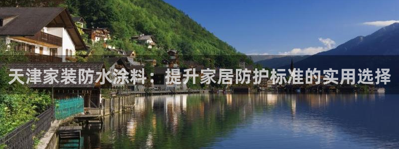 和记平台怎么样：天津家装防水涂料：提升家居防护标准的实用选择