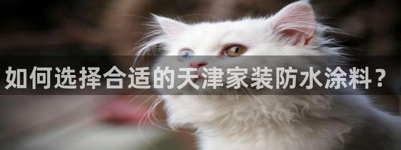 江苏和记餐饮有限公司：如何选择合适的天津家装防水涂料？