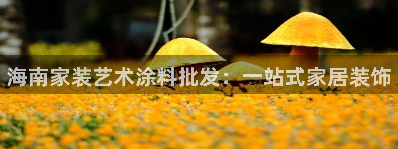 和记(福建)商贸有限公司：海南家装艺术涂料批发：一站式家居装饰